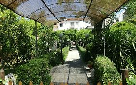 Il Giardino degli Agrumi