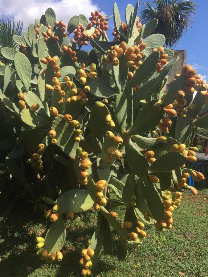 Il Giardino degli Agrumi Caserta Esterno foto