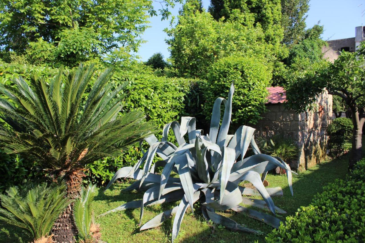 Il Giardino degli Agrumi Caserta Esterno foto