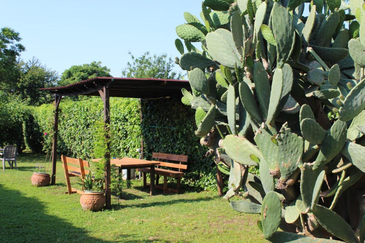 Il Giardino degli Agrumi Caserta Esterno foto