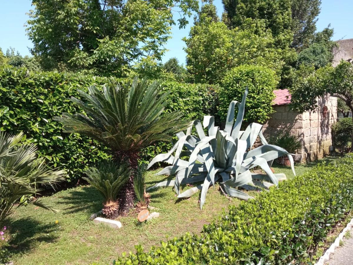 Il Giardino degli Agrumi Caserta Esterno foto
