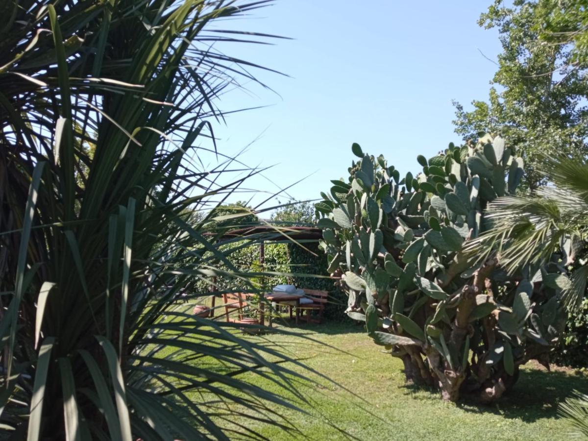 Il Giardino degli Agrumi Caserta Esterno foto