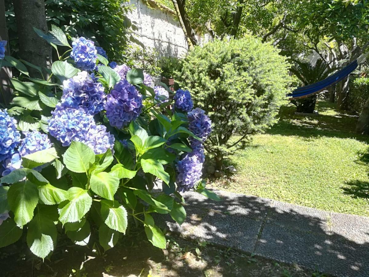 Il Giardino degli Agrumi Caserta Esterno foto