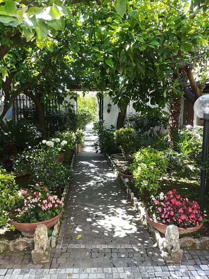 Il Giardino degli Agrumi Caserta Esterno foto
